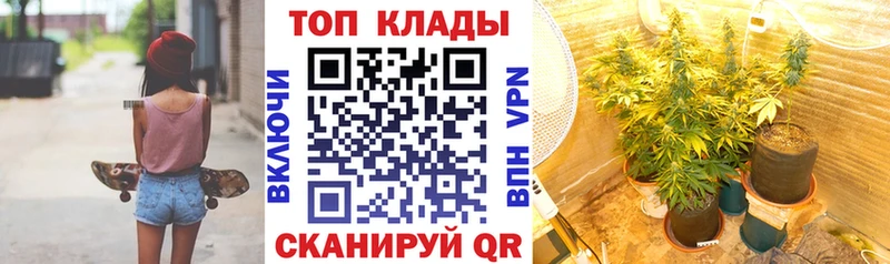 Магазин наркотиков Емва Гашиш  МЕГА tor  Мефедрон  Alpha PVP 