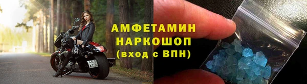 шишки Абаза