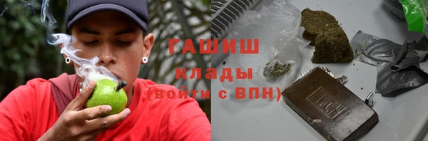 шишки Абаза