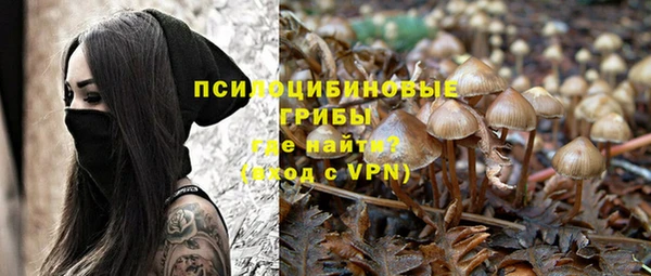сатива Абинск