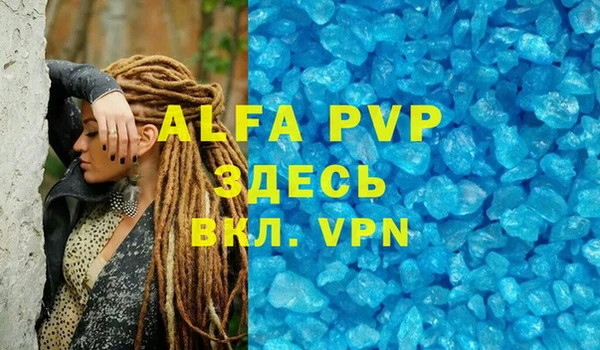 сатива Абинск