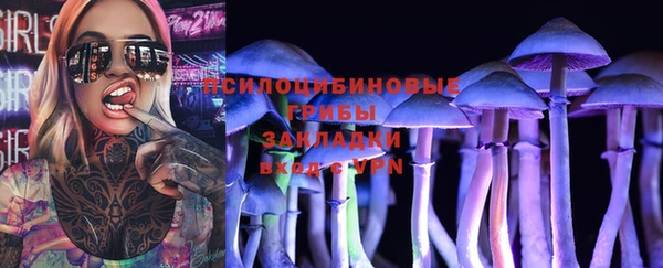 шишки Абаза