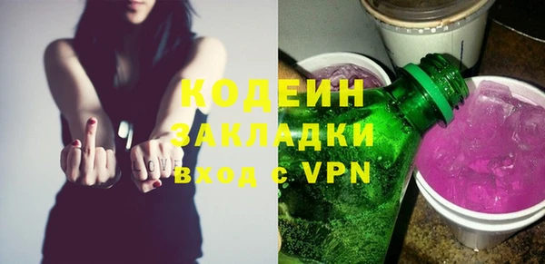 шишки Абаза