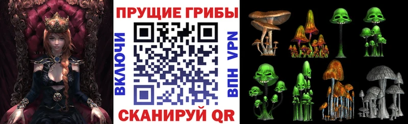 Псилоцибиновые грибы мицелий  где найти   hydra ссылка  Емва 